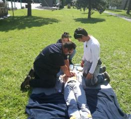 IMG_20180512_104445 P